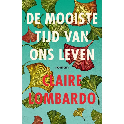 The Most Fun We Ever Had (Dutch)