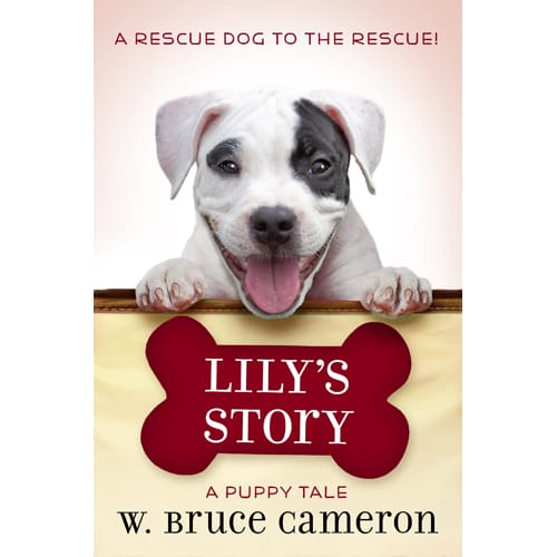 LILY’S STORY by W. Bruce Cameron